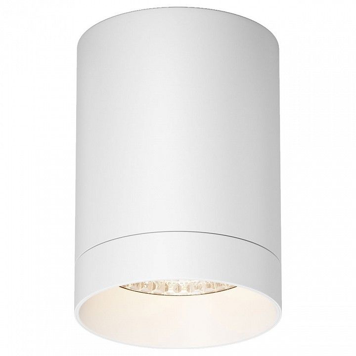 Накладной светильник Maytoni Outdoor Люкс O500CL-L10W3K
