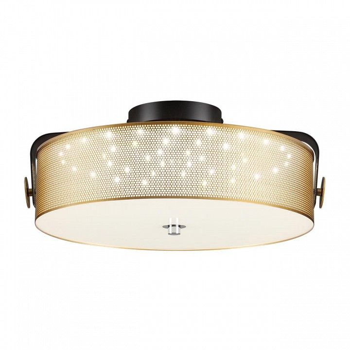 Накладной светильник Lumion Drumy 6597/40L