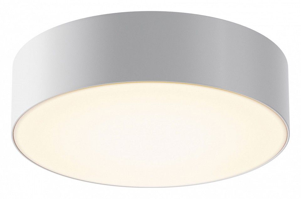 Накладной светильник Maytoni Outdoor Зон ИП/IP O431CL-L30W3K