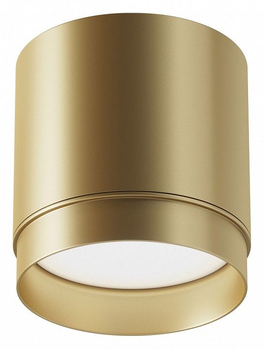 Накладной светильник Maytoni Technical Полярный C088CL-GX53-MG