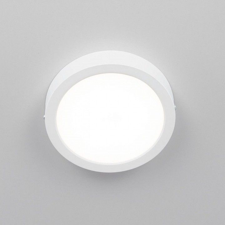 Накладной светильник Citilux Галс CL5516N