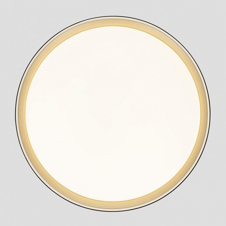 Накладной светильник Citilux BOSS CL751451G