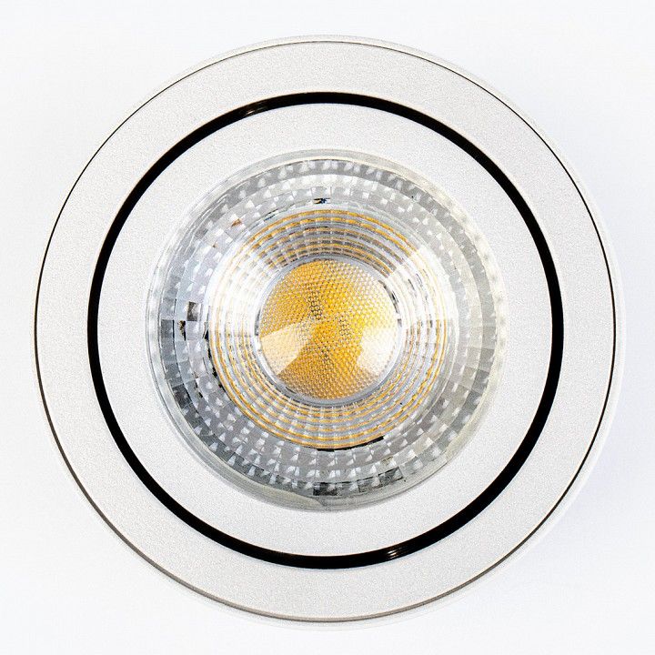 Накладной светильник LEDS POWER SPOT 009735