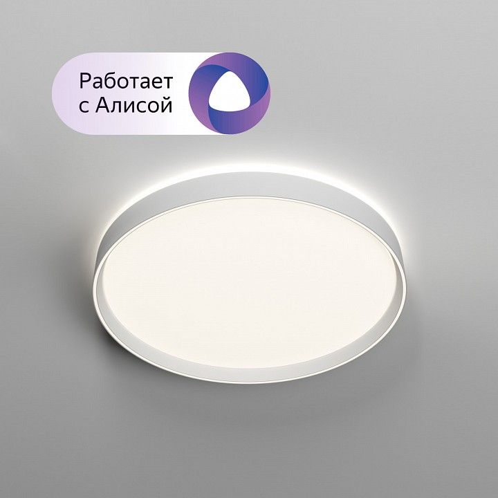 Накладной светильник Denkirs PLATO DK6511-WH