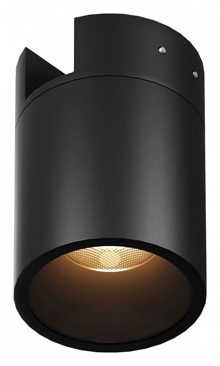Накладной светильник Maytoni Outdoor Альфа O-TR01-2-S-16WB3K