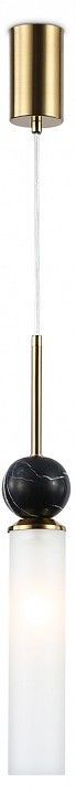 Подвесной светильник Ambrella Light LH LH53261