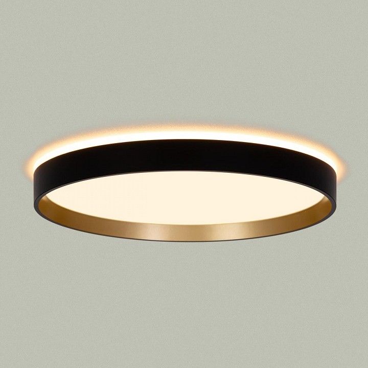 Накладной светильник Citilux ETALON CL750321R