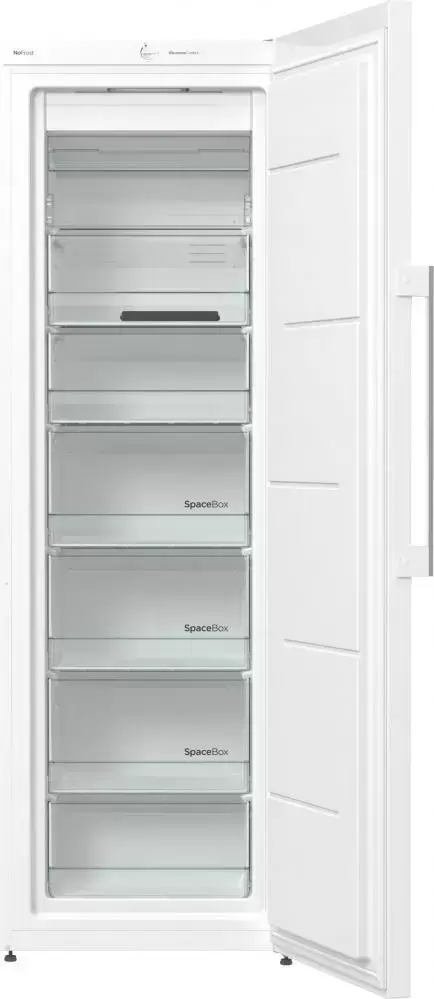 Морозильный шкаф Gorenje FN61CSY2W