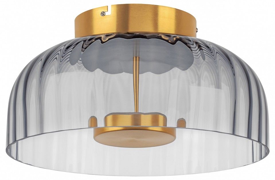 Накладной светильник Lightstar Celesta 809061