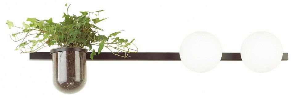 Бра Odeon Light Flower 4681/2W
