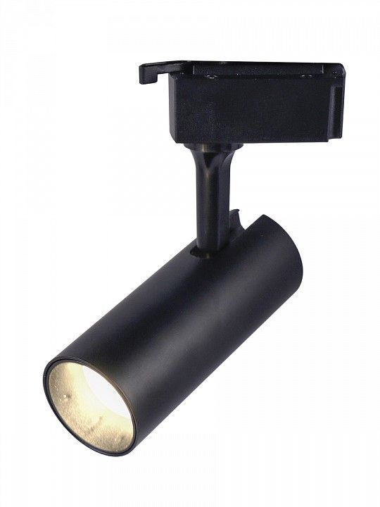 Светильник на штанге Эра  TR5-10 COB BK