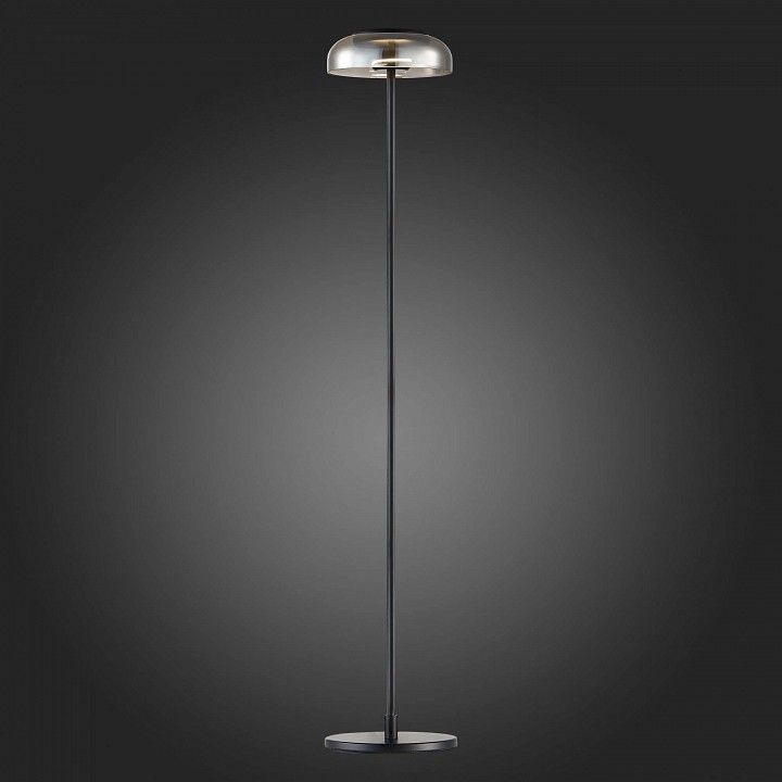 Торшер ST-Luce Lacio SL6002.405.01
