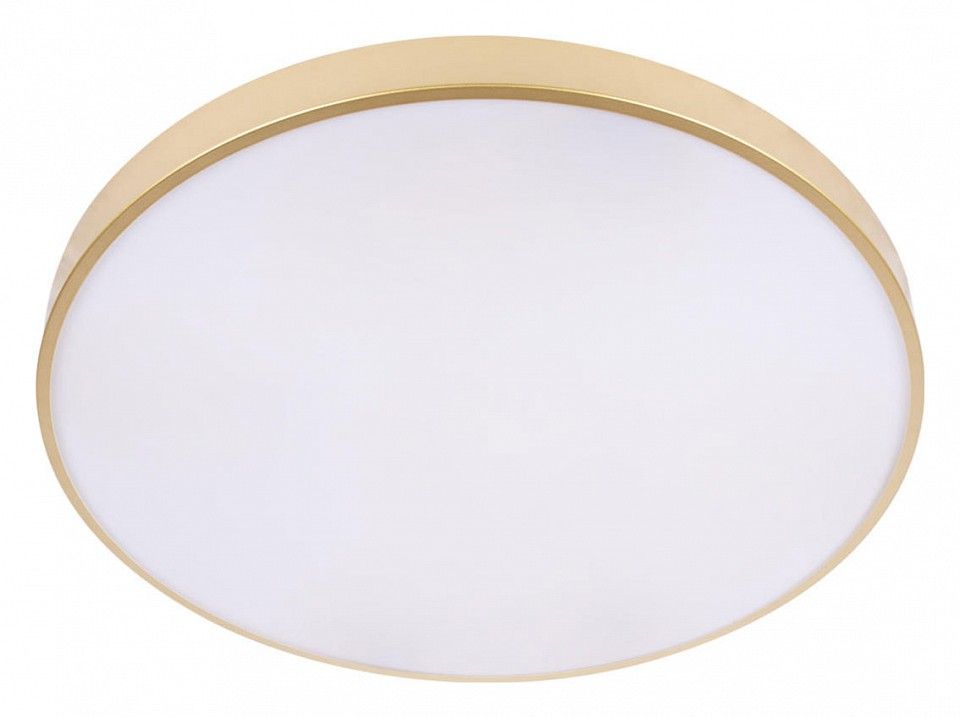 Накладной светильник Loft it Flims 10228/B