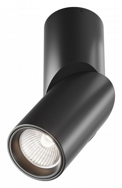 Светильник на штанге Maytoni Technical Dafne C027CL-L10B4K