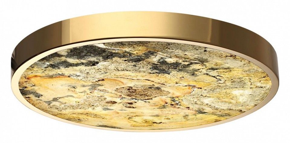 Накладной светильник Odeon Light Bergi 5079/40L