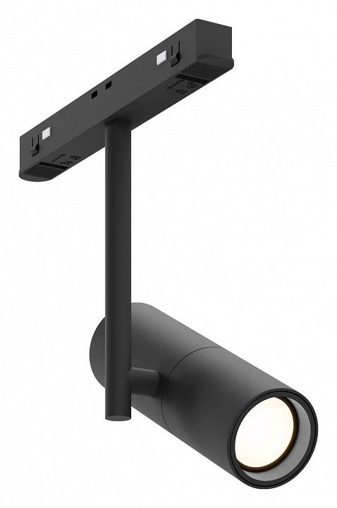 Светильник на штанге Maytoni Technical Элти TR005-2-12W3K-B