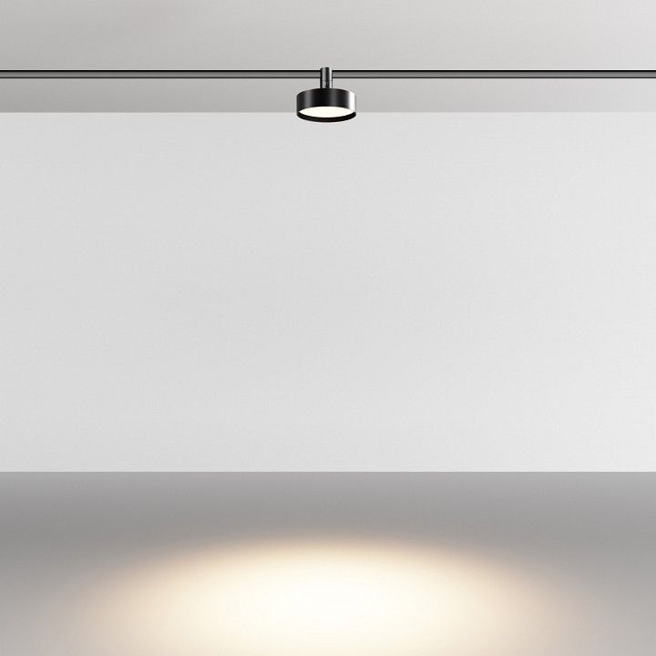 Светильник на штанге Maytoni Technical Зон TR204-1-12W3K-B