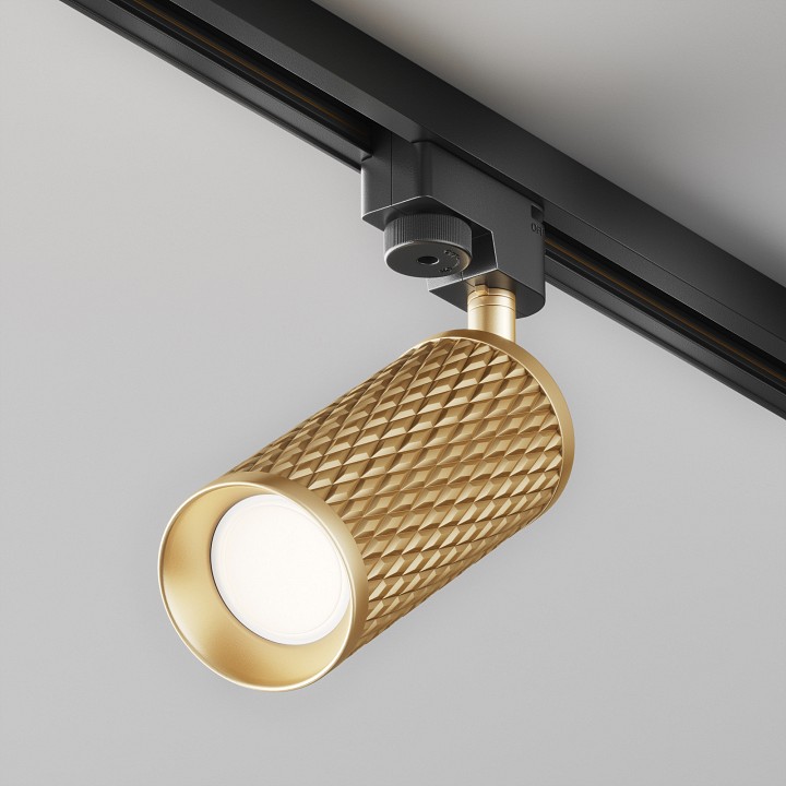 Светильник на штанге Maytoni Technical Focus Design TR011-1-GU10-G