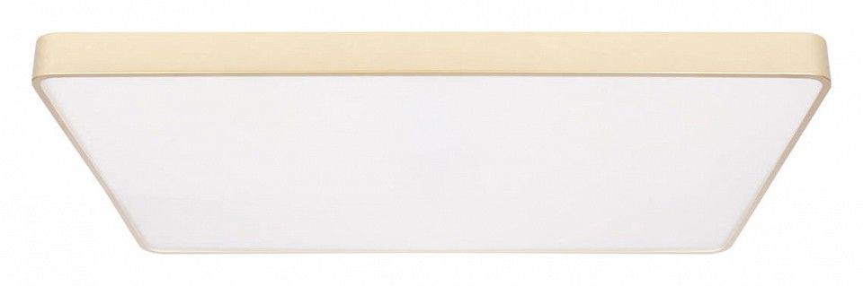Накладной светильник Loft it Flims 10228/E