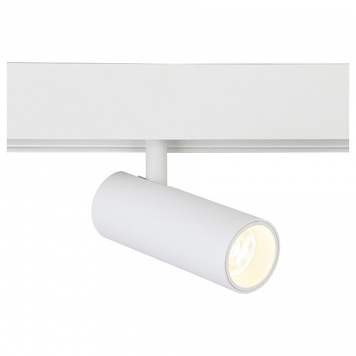 Светильник на штанге Ambrella Light GL GL3819