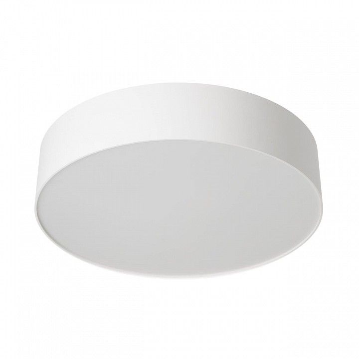 Накладной светильник Citilux BART CL755290