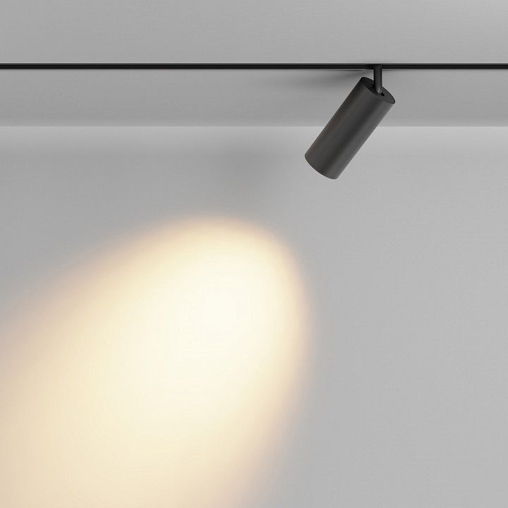 Светильник на штанге Maytoni Technical Фокус TR032-2-20W2.7K-M-B